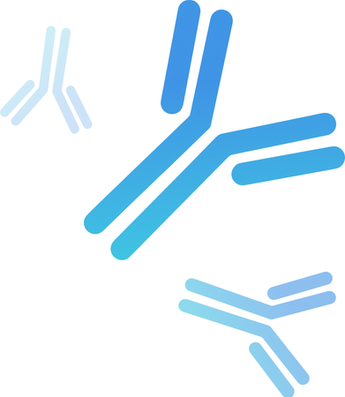 antibody-2.png